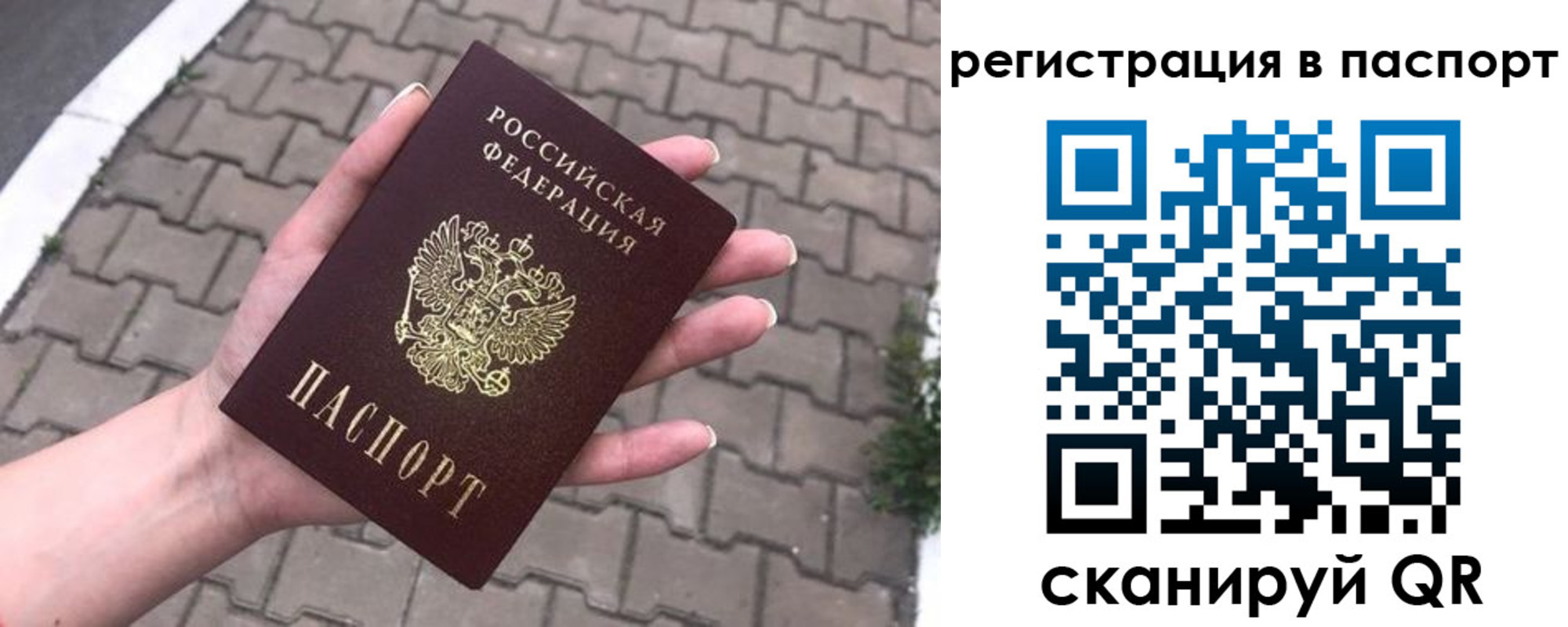 временная регистрация поиск в Тимашёвске